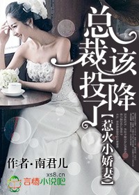 惹火小娇凄,总裁该投降了