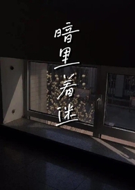 暗里着迷（伪骨科,np）