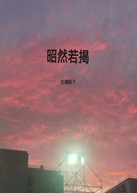 昭然若揭（高h,1V1）