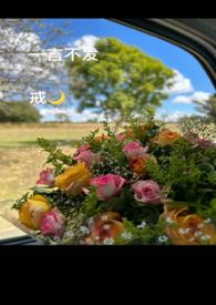 一言不发（高甜,H）