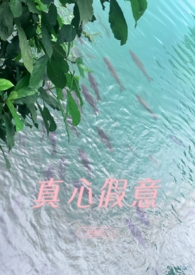真心假意（现代1V1,高h）
