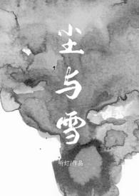 尘与雪（卧底,1V1）