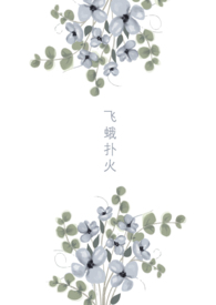 飞蛾扑火（甜,1v1,H）