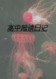 高中陪读日记(h母子）