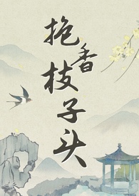 抱香枝子头民国 1v1