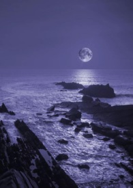 暗夜（NP,bg,含gl）