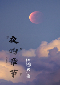 夜的章节（双师生,兄妹,高H）